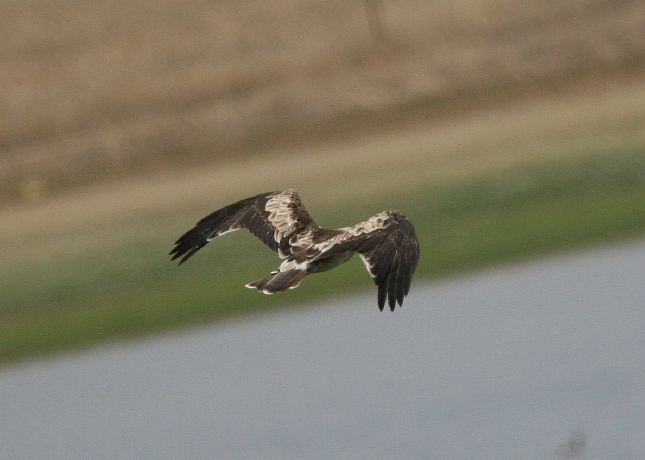 Altre foto dall''Extremadura
