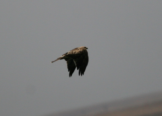 Altre foto dall''Extremadura