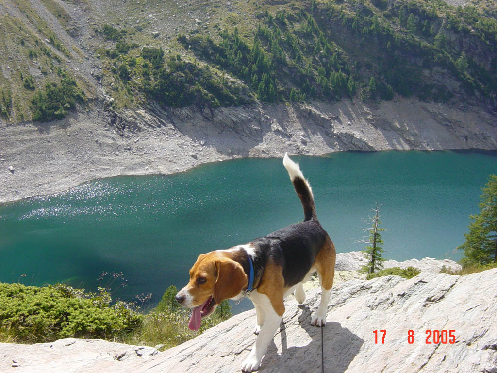 Laghi....della LOMBARDIA