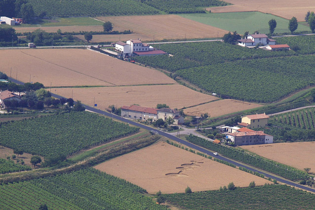 Lodolaio