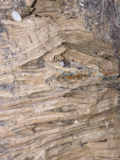 Valle del Torrente Perlo