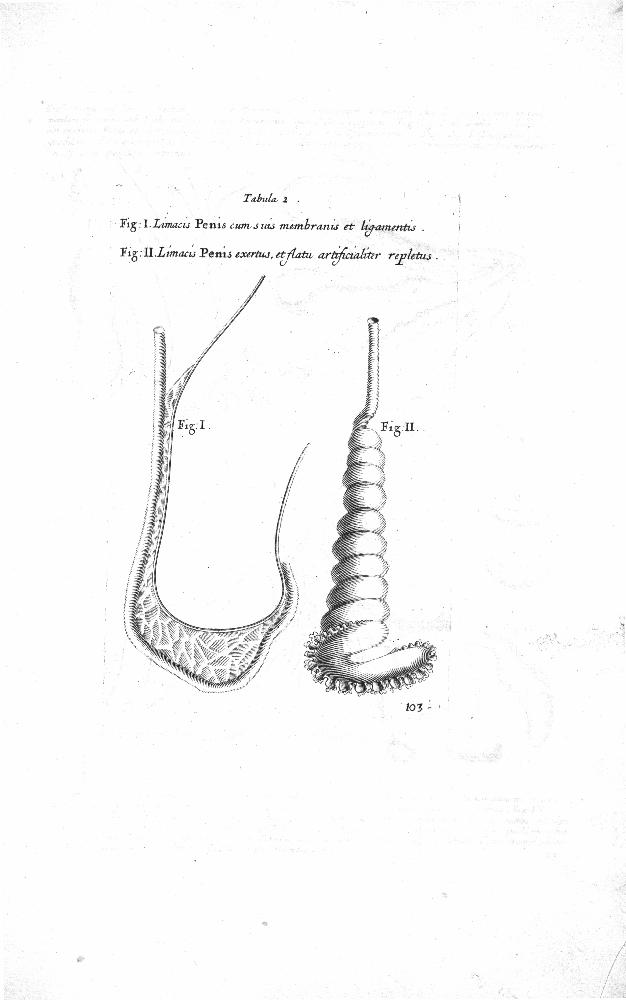 Martin Lister: copule storiche