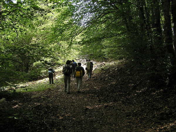 INCONTRO DI NATURA MEDITERRANEO SULLE MADONIE (PA)