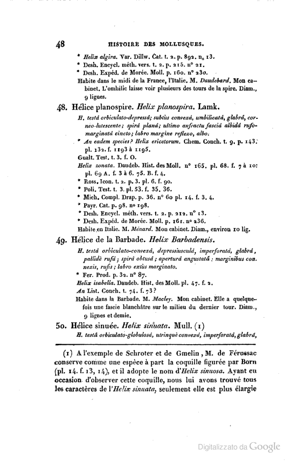 Chilostoma (Campylaea) planospira (Lamarck, 1822)