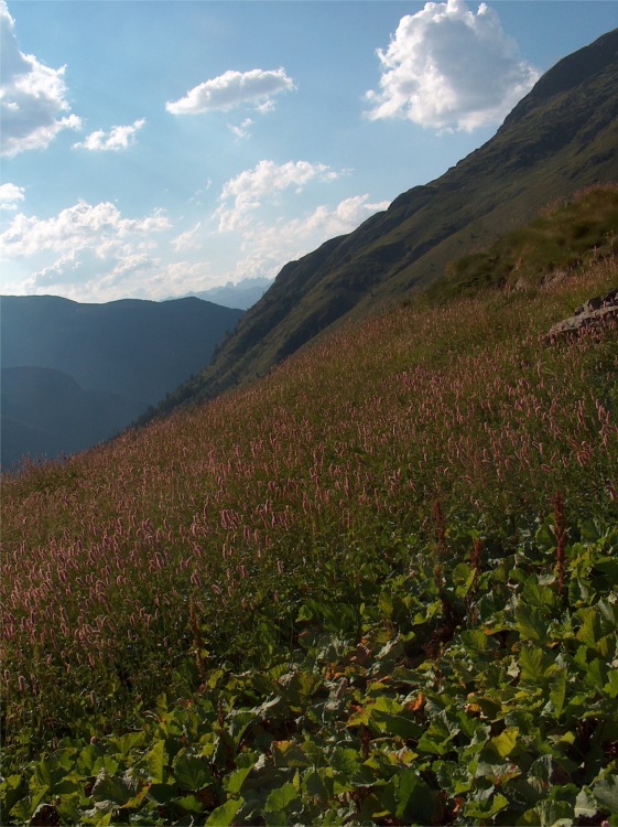 Mini raduno NM in Valtellina