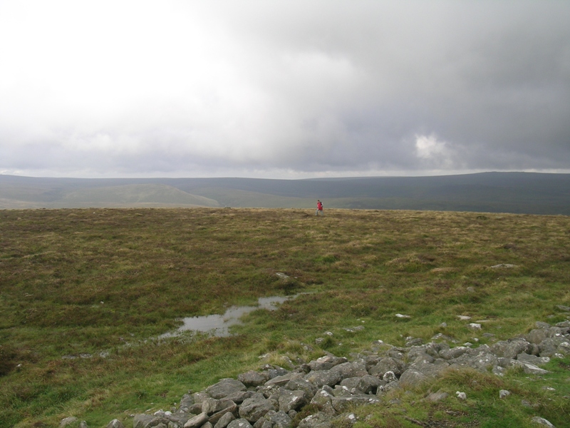 DARTMOOR (Inghilterra) tra megaliti e wilderness