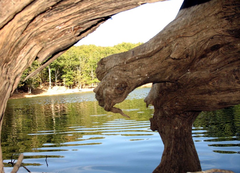 Laghetto della Foresta Umbra (Gargano)