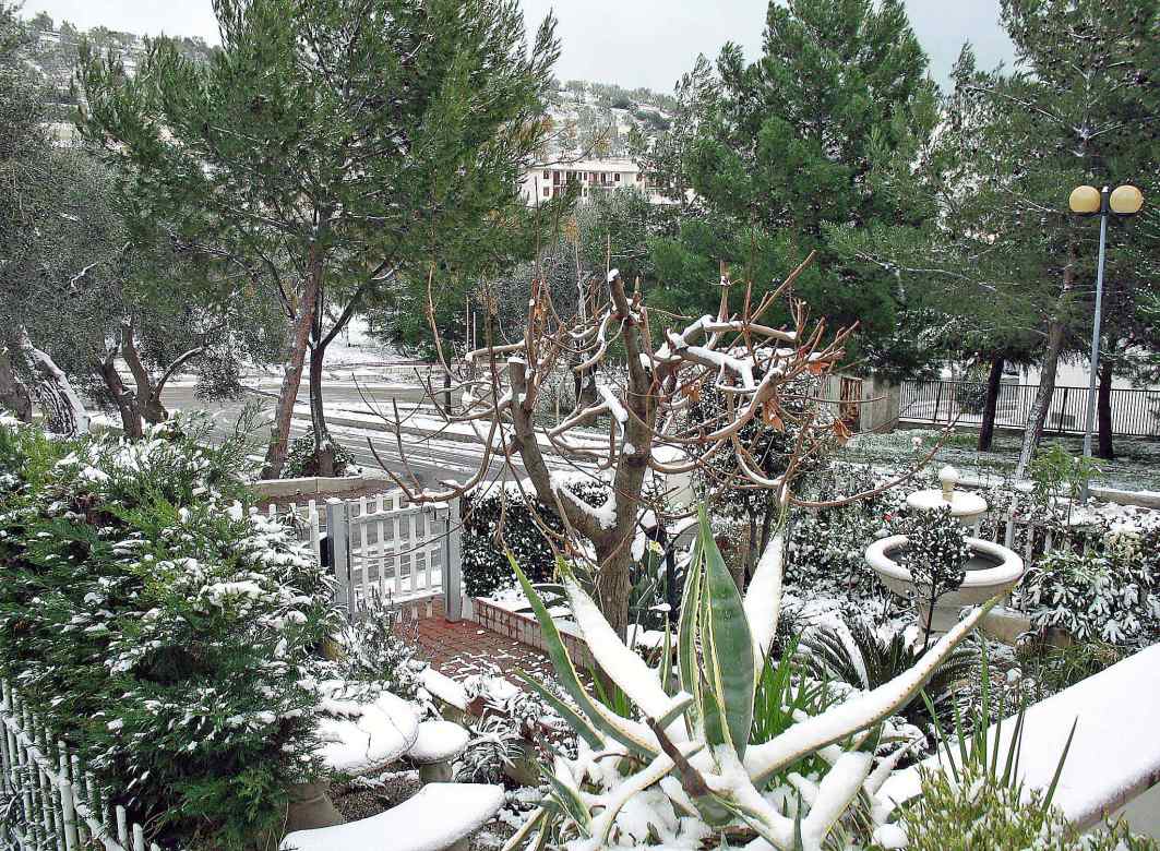 Neve a Mattinata - 15 dicembre 2007