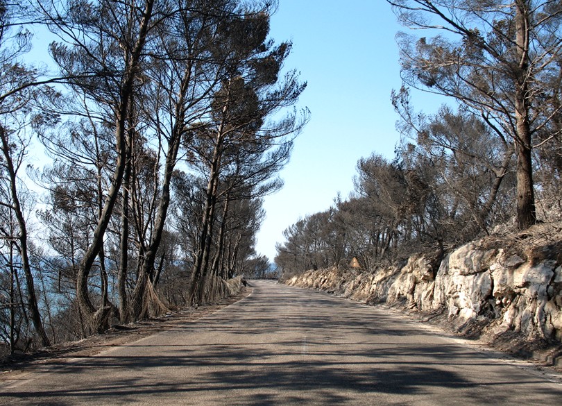 Peschici (Gargano): ci che resta