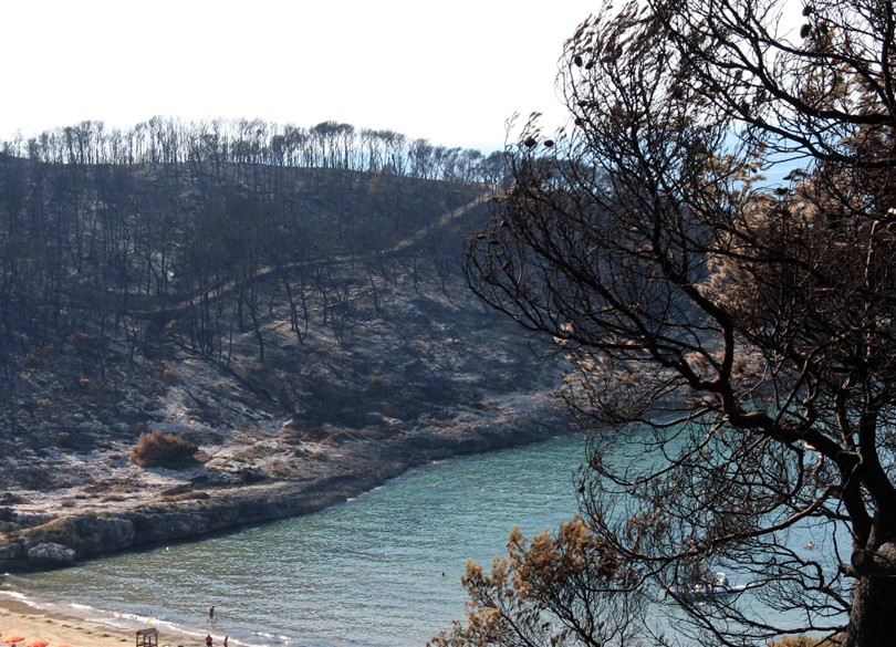 Peschici (Gargano): ci che resta