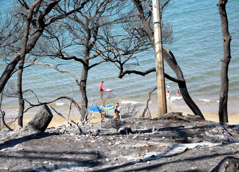 Peschici (Gargano): ci che resta
