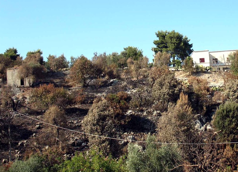 Peschici (Gargano): ci che resta