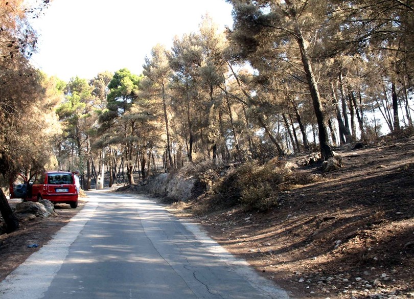 Peschici (Gargano): ci che resta