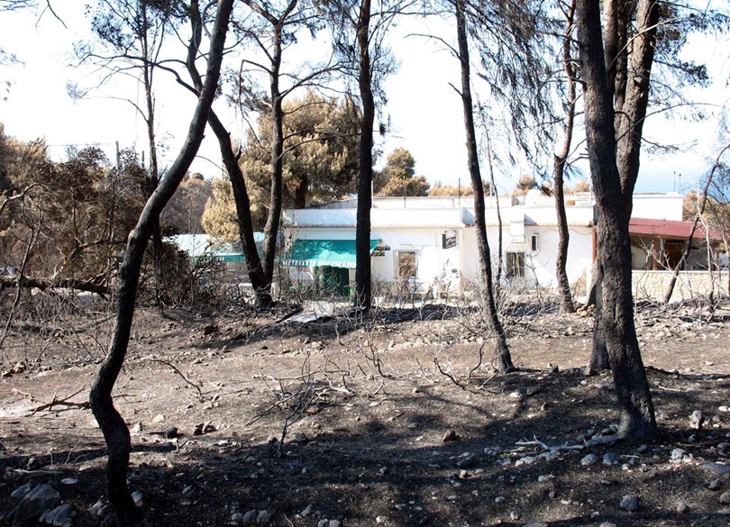 Peschici (Gargano): ci che resta