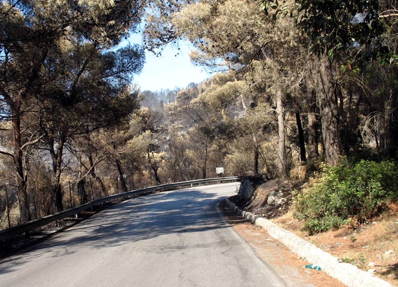 Peschici (Gargano): ci che resta