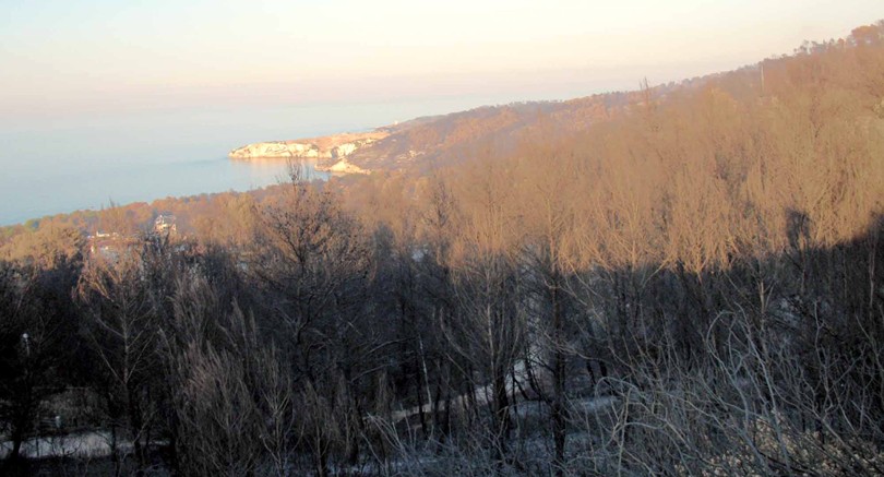 Peschici (Gargano): ci che resta