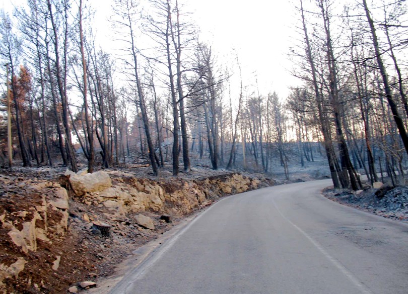Peschici (Gargano): ci che resta