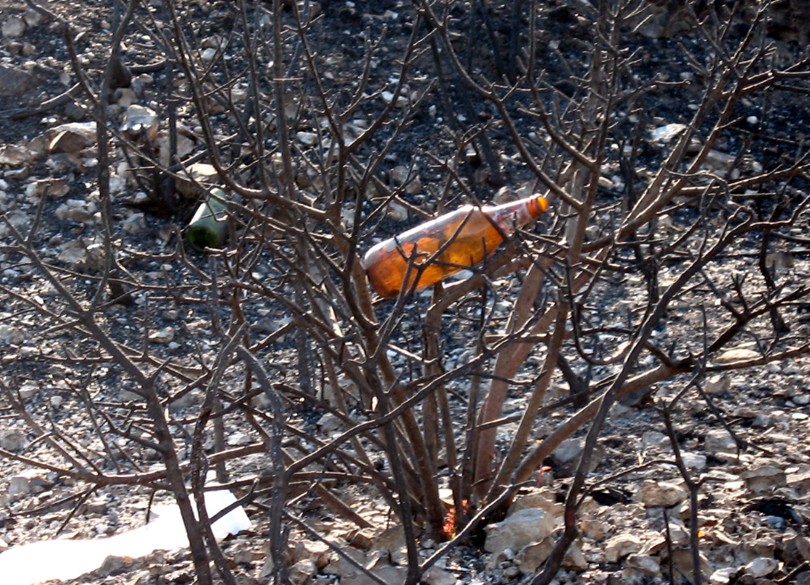 Incendio a Vieste (Gargano)