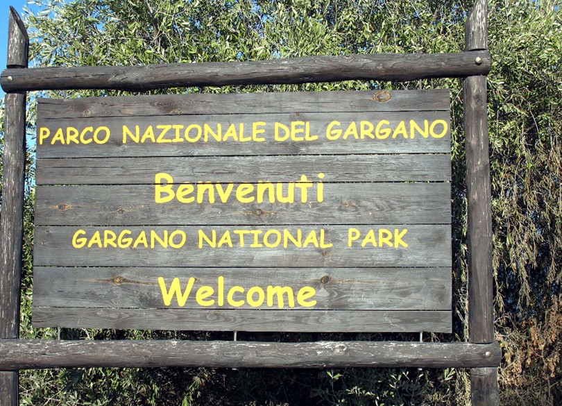 Incendio a Vieste (Gargano)