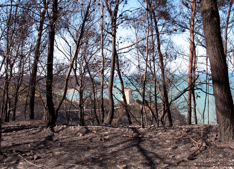 Incendio a Vieste (Gargano)
