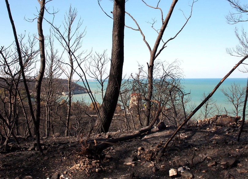 Incendio a Vieste (Gargano)