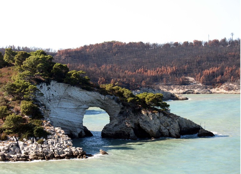 Incendio a Vieste (Gargano)
