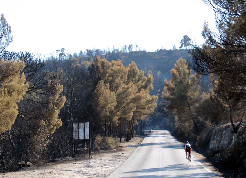 Incendio a Vieste (Gargano)
