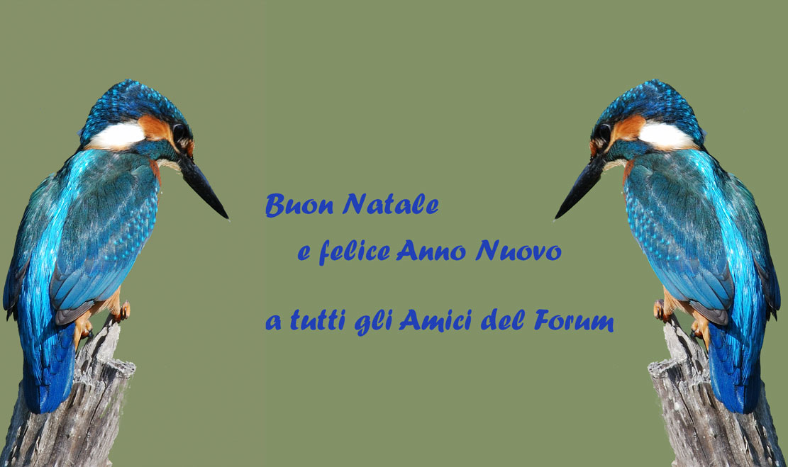 Auguri.