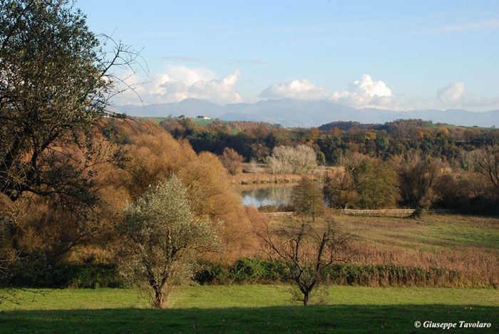 Oasi naturalistica Tevere-Farfa (Roma).