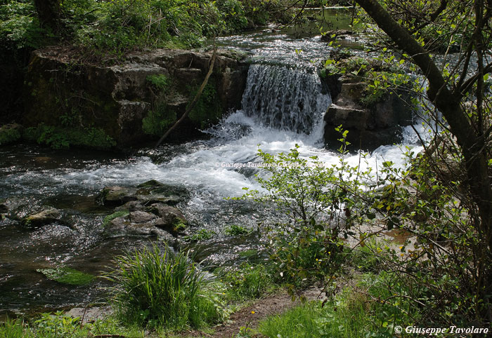 Parco della Valle del Treja.