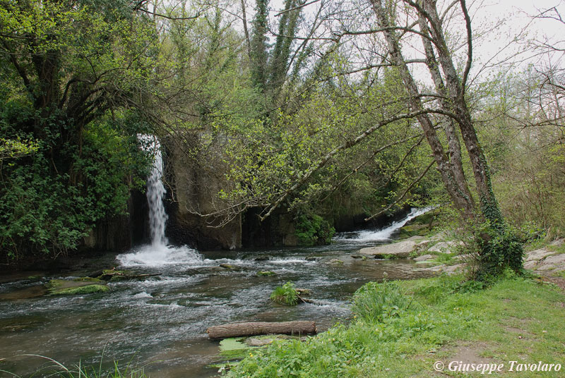 Parco della Valle del Treja.