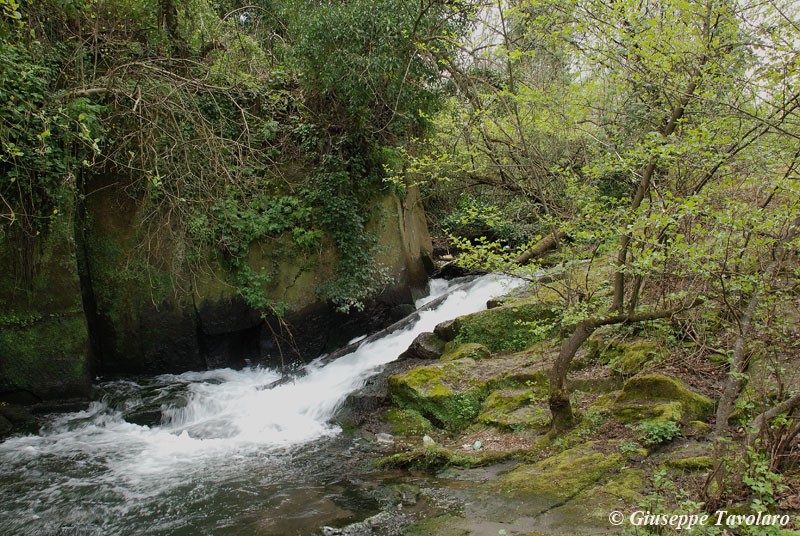 Parco della Valle del Treja.