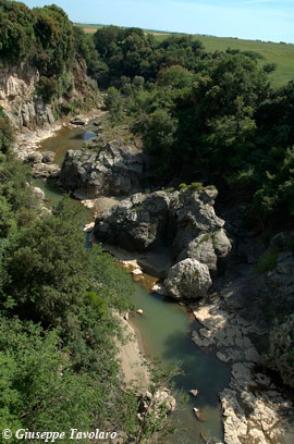 Parco naturalistico-archeologico di Vulci.