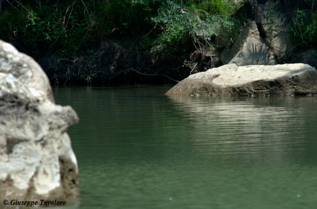 Parco naturalistico-archeologico di Vulci.