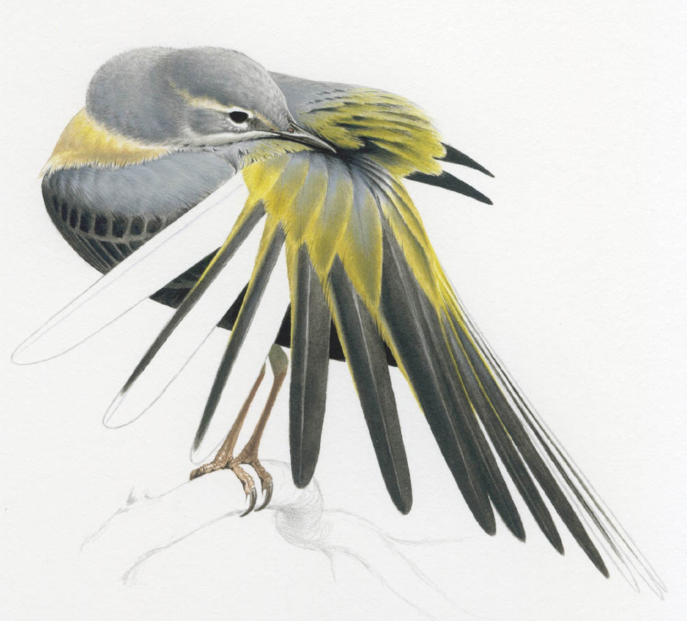 Siti di arte naturalistica