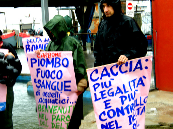 Fenicotteri nel Delta del Po