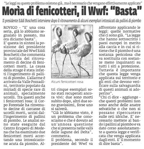 Fenicotteri nel Delta del Po