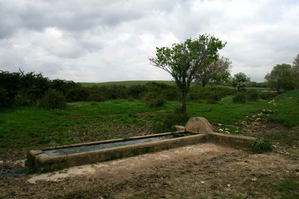 Fontanili del Lazio