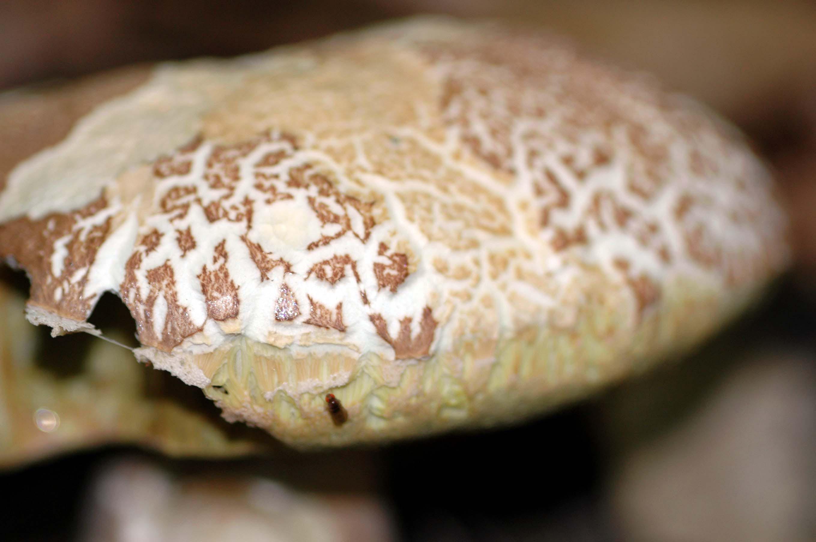 .... a proposito delle mezze stagioni: