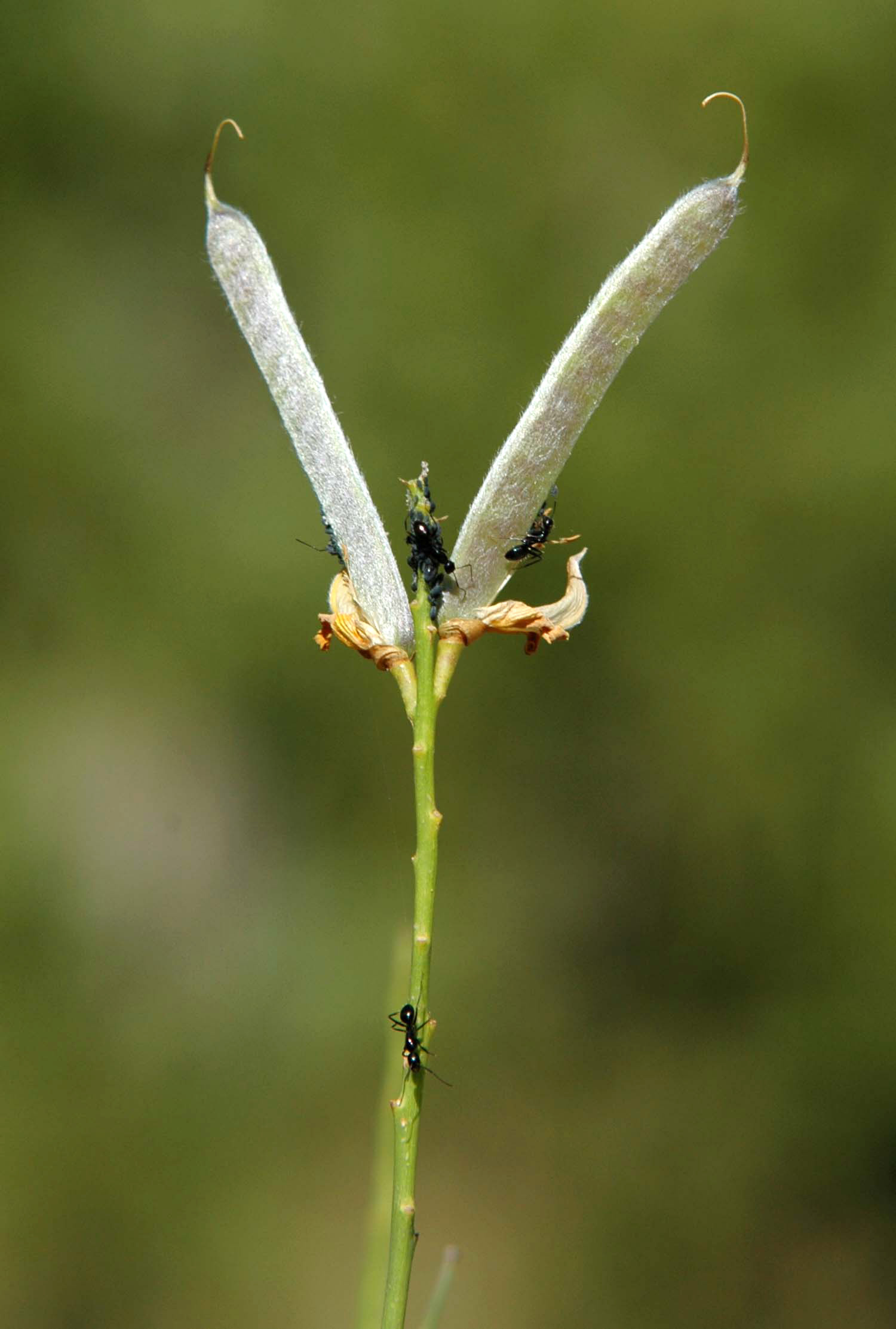 .... a proposito delle mezze stagioni: