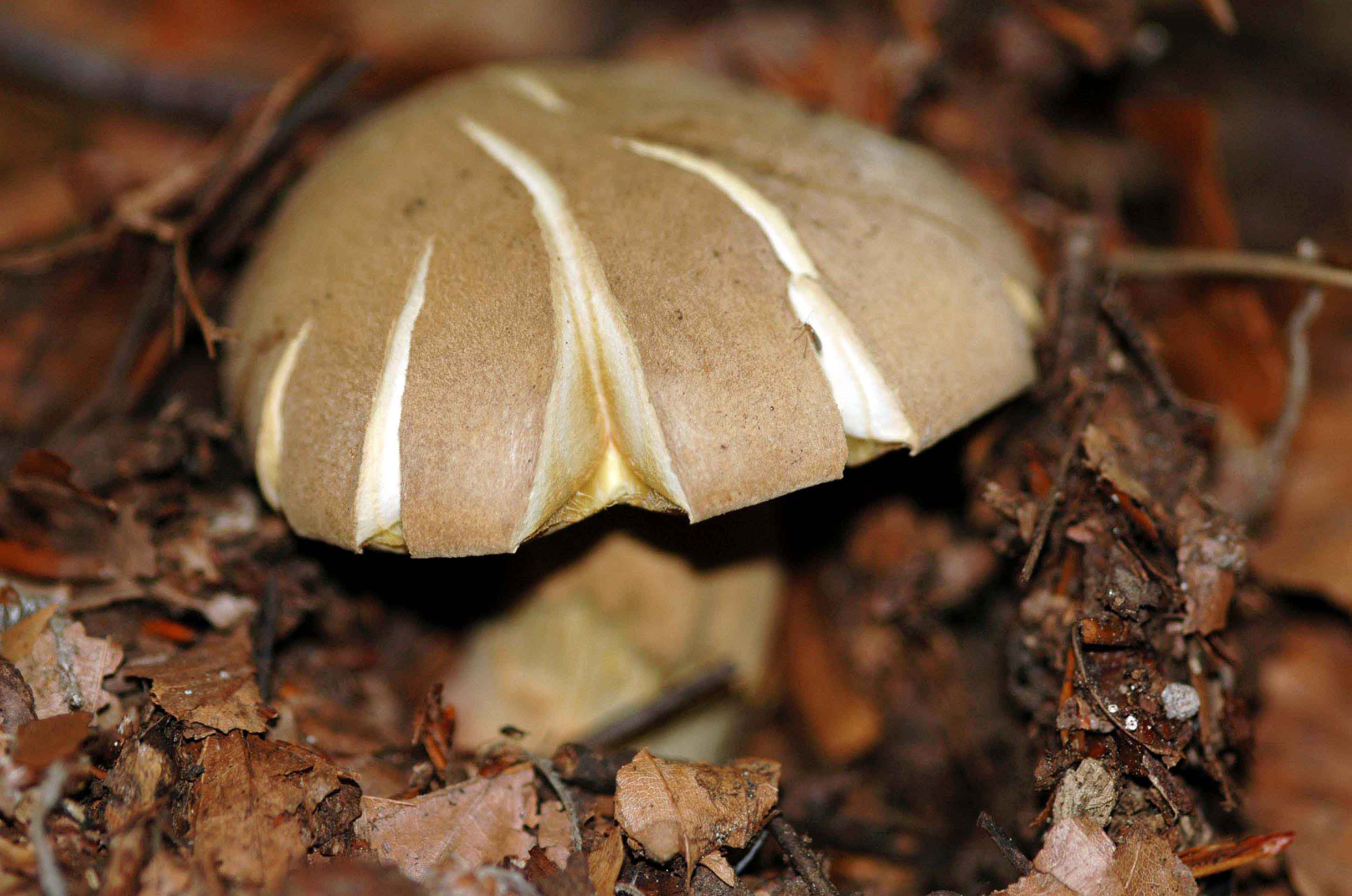 .... a proposito delle mezze stagioni: