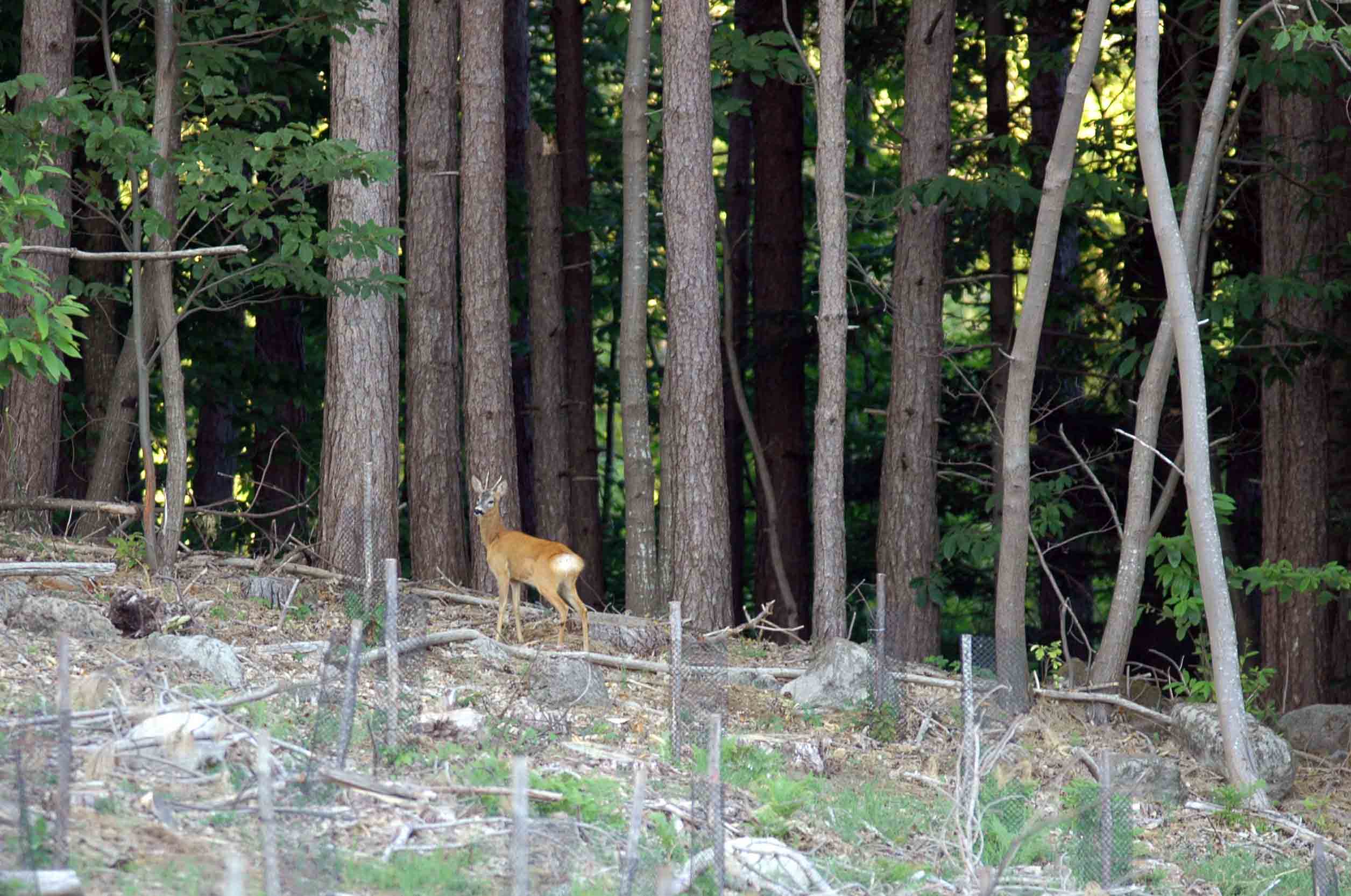 .... a proposito delle mezze stagioni: