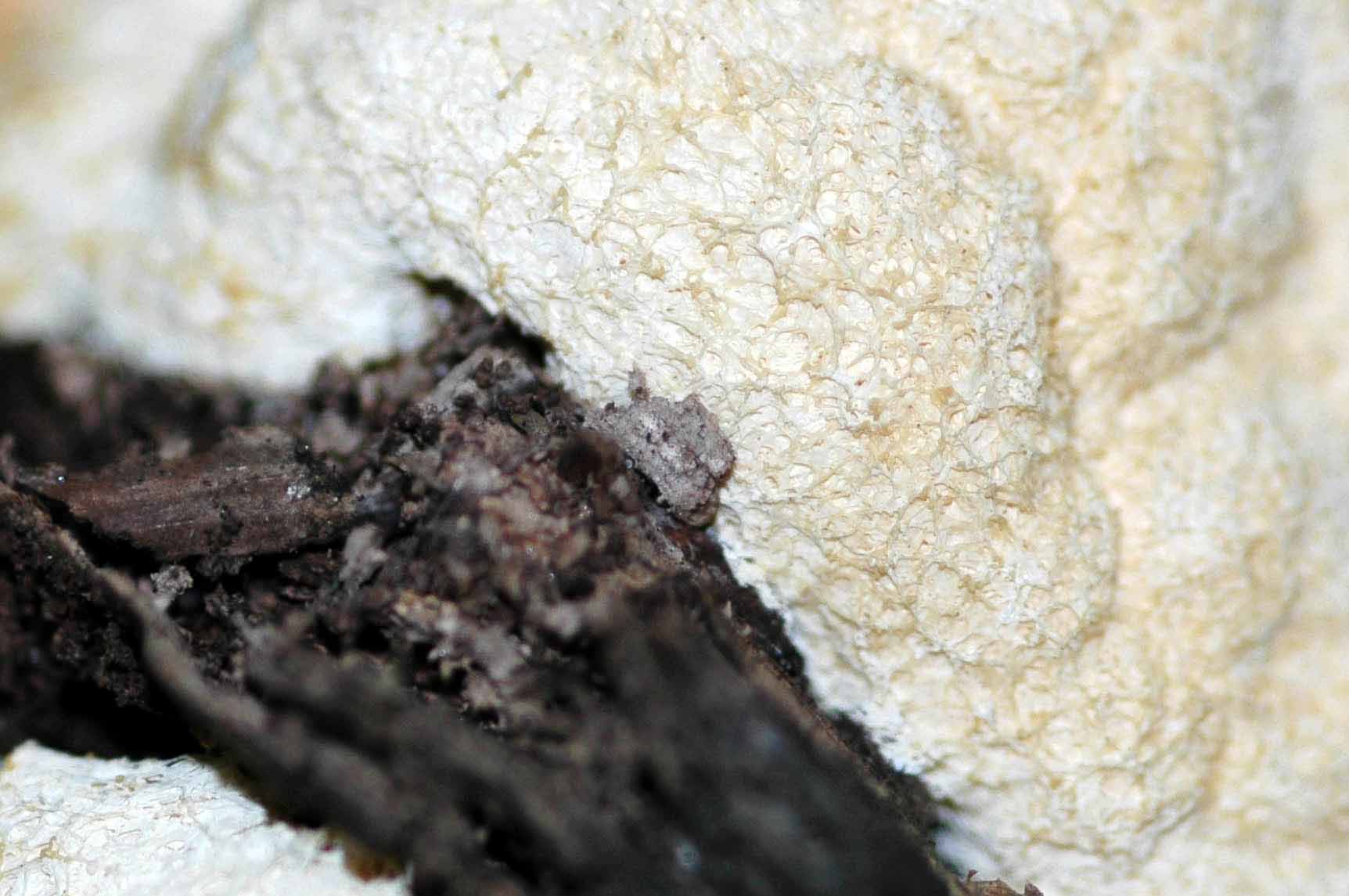 .... a proposito delle mezze stagioni: