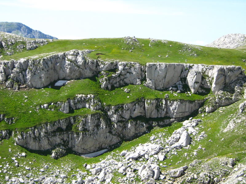 Fungo ritrovamento quota 2000m Abruzzo cosa �:-)?