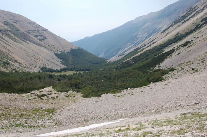 Fioriture magellensi  4