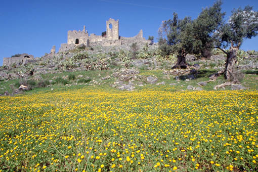 dove si trova questo castello?