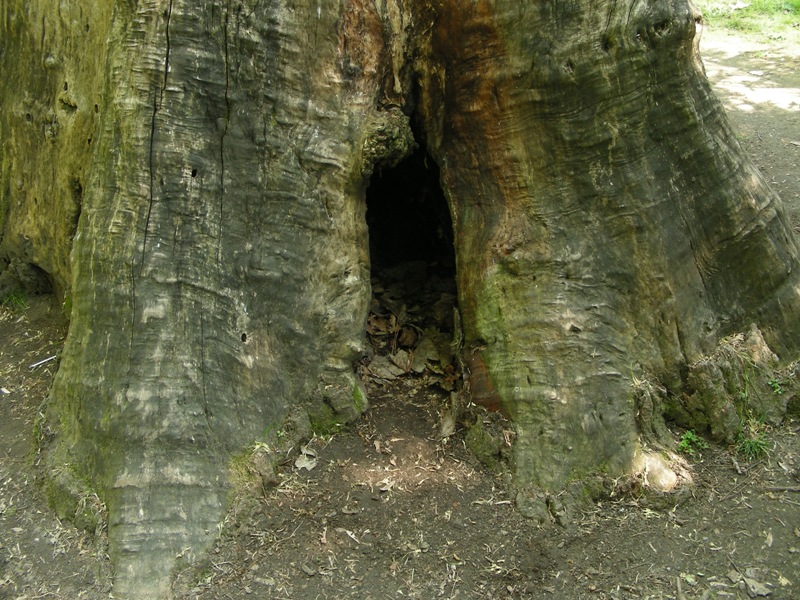 altro giro cittadino