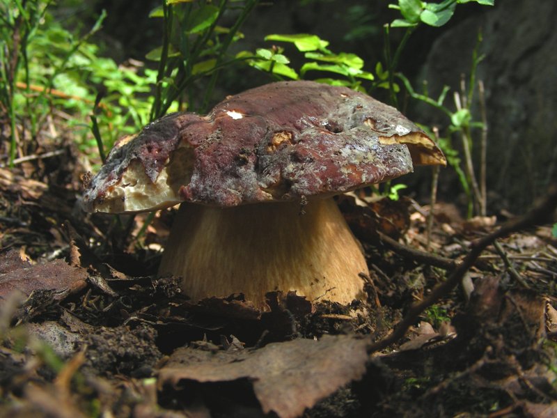 Qualche highlight 2007