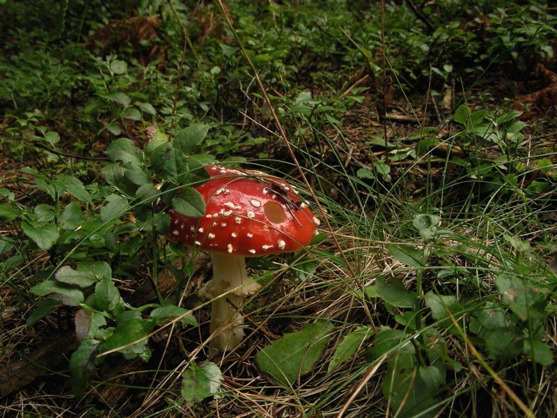 Qualche highlight 2007