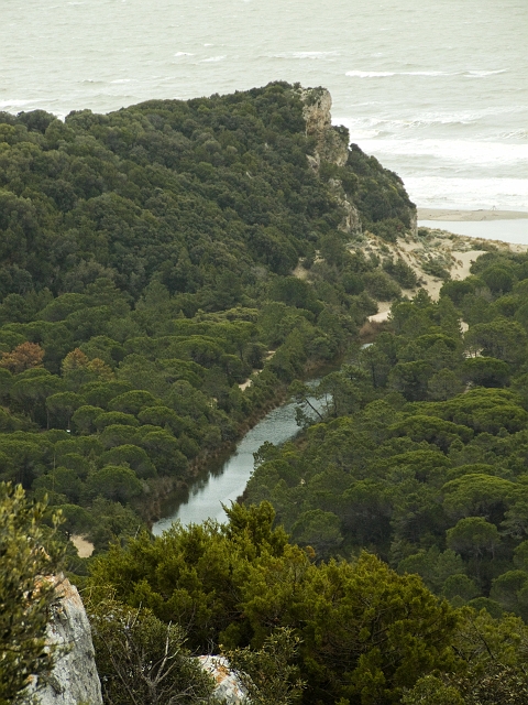 Parco dell''Uccellina - Torre di Collelungo